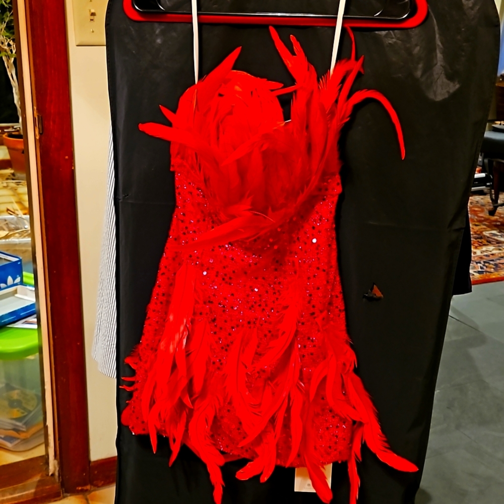 "Statement Dress "Red sequin dress with red feathers small nwt
